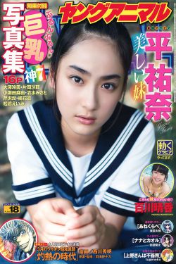 l篮球火